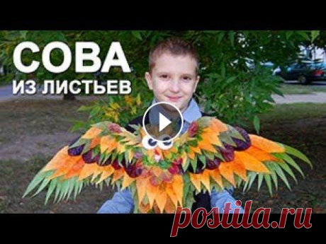 ИЗ ЛИСТЬЕВ Сова из сухих листьев в школу. Поделки из листьев. ИЗ ЛИСТЬЕВ Сова из сухих листьев в школу. Большая РЫБА из листьев по этой ссылке...