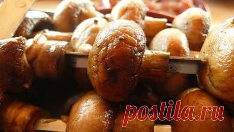 Грибной шашлык – запекаем над углями шампиньоны!