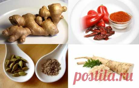 В борьбе с лишним весом помогут… специи! • НОВОСТИ В ФОТОГРАФИЯХ