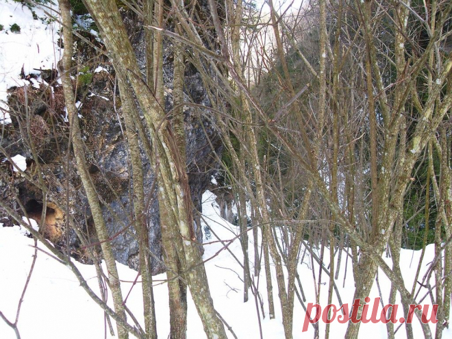 На зимней тропе, у горной реки... - 26 Октября 2015 - Персональный сайт