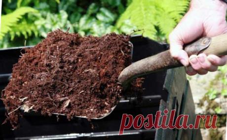 Как ускорить созревание компоста | садоёж | Яндекс Дзен