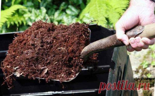 Как ускорить созревание компоста | садоёж | Яндекс Дзен