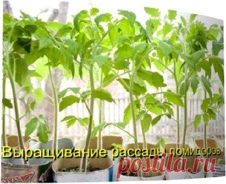 Видео уроки бесплатно » Страница 28