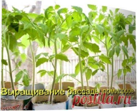 Видео уроки бесплатно » Страница 28