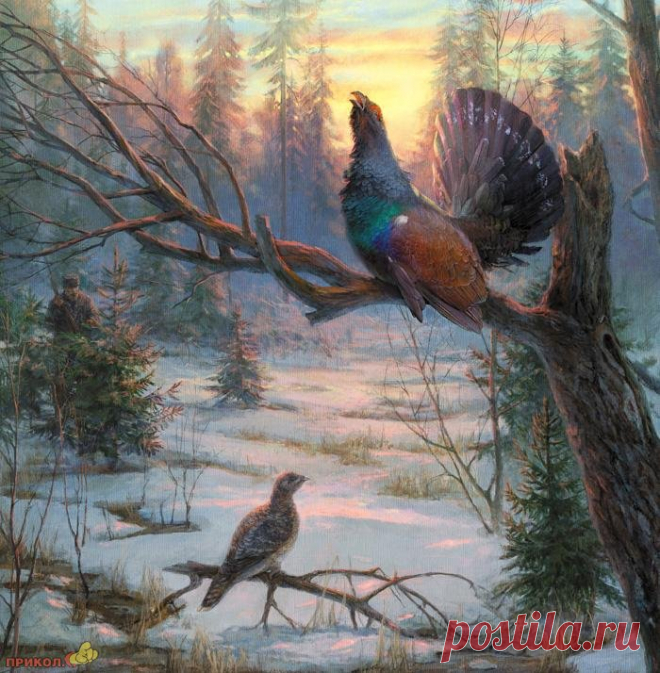 ohota-03.jpg (700×714)