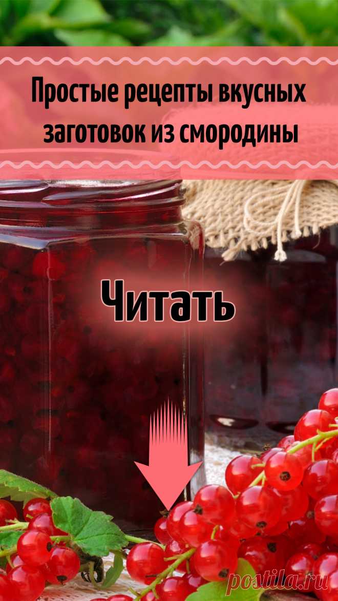Что приготовить из смородины на зиму – простые рецепты вкусных заготовок