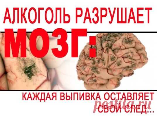Действие спирта на мозг