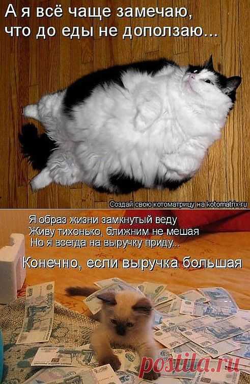 Одноклассники