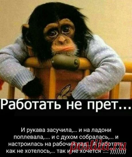 d7efe7cee2b8ad671f7486feb8426a90.jpg (563×668)