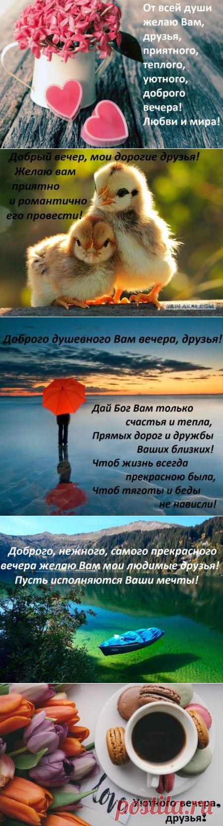 Картинки добрый вечер друзья: красивые и прикольные открытки с пожеланиями