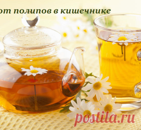 ЧАЙ ОТ ПОЛИПОВ В КИШЕЧНИКЕ.