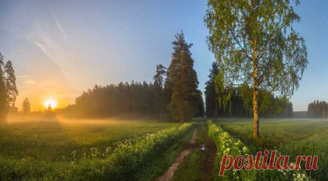 Прогулка с рассветом. | National Geographic Россия
Санкт-Петербург. Парк Павловск. Весенний рассвет.