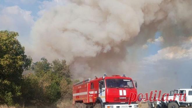 Пожар под Феодосией уничтожил 75 гектаров территории. Природный пожар под Феодосией уничтожил 75 га территории, от огня спасли два садовых товарищества. Об этом ТАСС сообщили в пресс-службе МЧС РФ. "От огня спасено два садовых товарищества, в которых находятся более 150 жилых ...