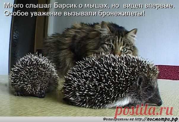 Мой Мир@Mail.Ru