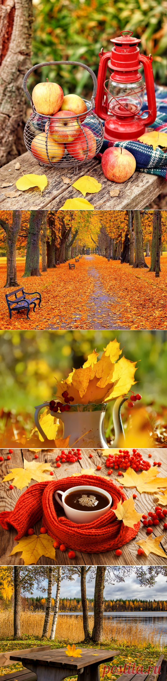 До чего прекрасна осень!Осень,осень,пора золотая, Осень,осень,пора журавлей,