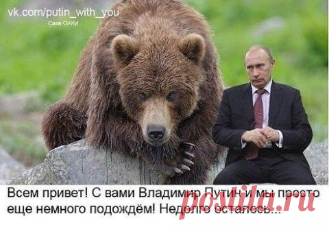 Американцы хамят Путину! Откровенно и официально