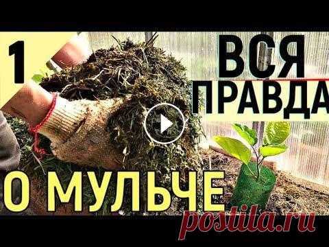 АКТИВНАЯ МУЛЬЧА   КАК ПОВЫСИТЬ ПЛОДОРОДИЕ Вся правда о мульчировании. Мульчирование грядок свежей травой. Как повысить плодородие почвы, чтобы получать большие урожаи? На канале: Наталья Сморч...