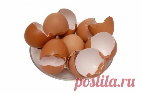 Применение яичной скорлупы: полезные свойства о которых вы даже не знали....