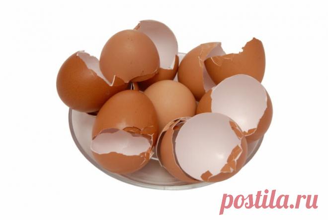 Применение яичной скорлупы: полезные свойства о которых вы даже не знали....