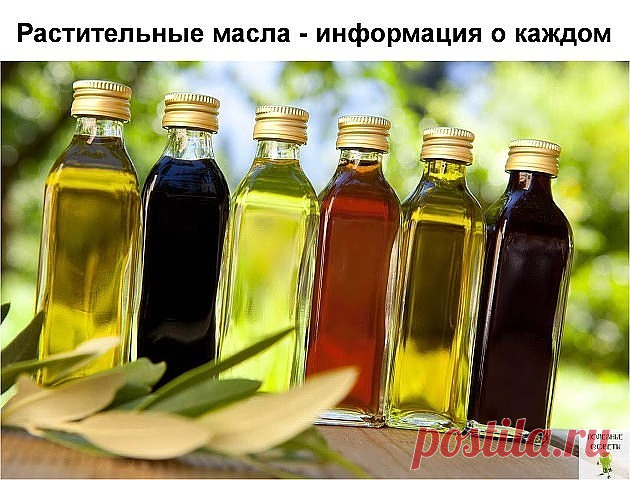 Все о маслах
