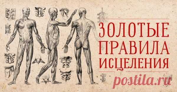 Врач: «Эти золотые правила самоисцеления работают лучше лекарств…» — Копилочка полезных советов
