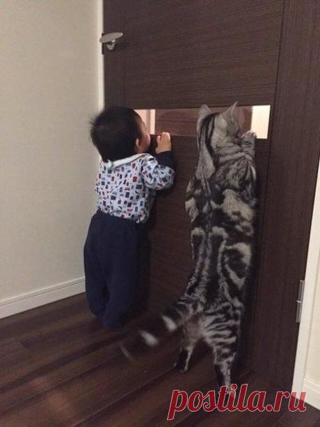 (53) Одноклассники