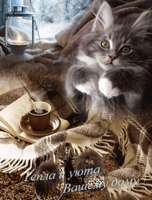 ЖИВЫЕ ФОТОГРАФИИ. AMAZING GIF – Google+