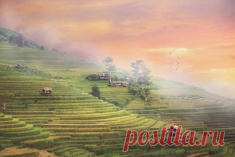 Народные приметы 14-15 мая. Старинный праздник Пролетье. Примета о семейном благополучии и достатке | В начале было слово | Яндекс Дзен