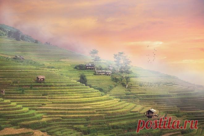 Народные приметы 14-15 мая. Старинный праздник Пролетье. Примета о семейном благополучии и достатке | В начале было слово | Яндекс Дзен