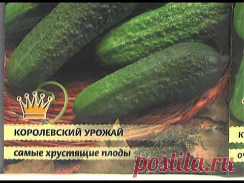 Дачные советы для овощеводов на февраль-март....