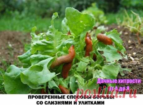 (45) Одноклассники