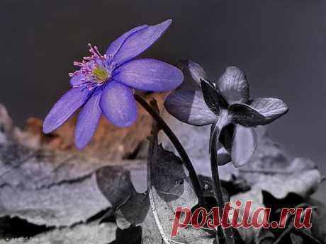 РАБОТА ОНЛАЙН! Приглашаю к сотрудничеству домохозяек, мамочек в декрете и желающих иметь дополнительный (или основной) доход!!! Инвестировать деньги в офис не надо, Ваше место работы – это Ваш компьютер. Пару часиков в день, СТРЕМЛЕНИЕ заработать и выход в интернет вот и все Ваши рабочие инструменты!!! ПРИСОЕДИНЯЙТЕСЬ! С кем поделиться информацией ?