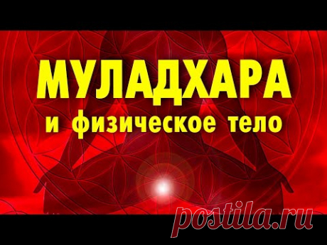 Муладхара чакра и физическое тело