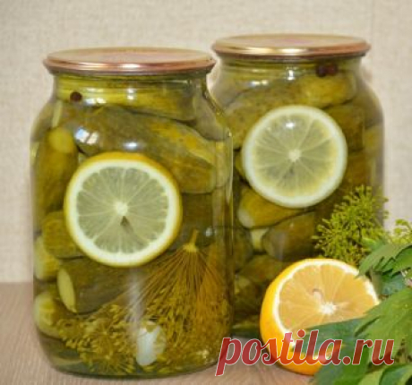 ОЧЕНЬ ВКУСНЫЕ ОГУРЧИКИ  "Пражские"
Огурчики получаются сладкие ,мои детишки кушают их с удовольствием !
Нам понадобится на одну банку объёмом 1 литр:Огурцы ~12 штук небольшие
Тонкий кружок лимона
~~
Маринад:
0,5 литра воды
20 гр крупной соли
75 гр сахара
Лимонная кислота – 0,5 ч.л.
~~
На дно банки:
2 зубчика чеснока
2 шт. лаврового листа
2 шт. лист чёрной смородины
1 см корня хрена (я заменяю листом)
1 зонт укропа
3 шт. душистого перца
От себя добавляю ещё эстрагон (тархун...