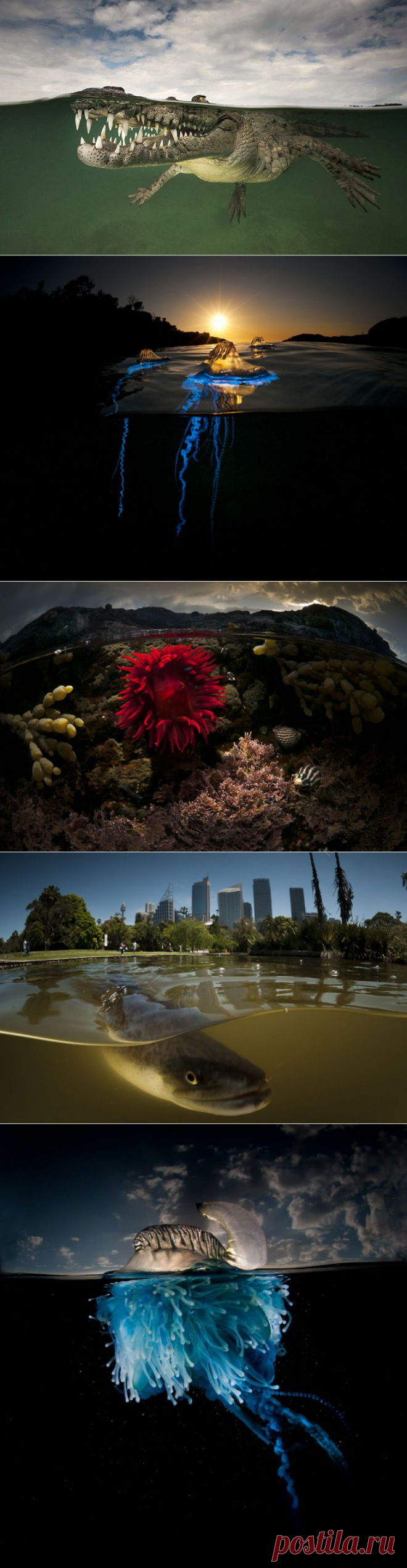 Кому волна, кому мать родна &bull;  НОВОСТИ В ФОТОГРАФИЯХ