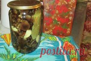 Домашние заготовки - категория блюда, рецепты с фото