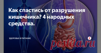Как спастись от разрушения кишечника? 4 народных средства. Сегодня мы рассмотрим народные средства, которые уберегут кишечник от разрушения. Все дело в том, что кишечник является очень важной частью нашего организма. В нем содержится огромное количество бактерий, которые регулируют все основные процессы в организме. Кроме того, кишечник - это основная часть иммунной системы, которая позволяет организму бороться с разными «неприятностями». Если бактерии кишечника разрушаются, наш организм подве…
