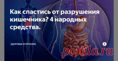 Как спастись от разрушения кишечника? 4 народных средства. Сегодня мы рассмотрим народные средства, которые уберегут кишечник от разрушения. Все дело в том, что кишечник является очень важной частью нашего организма. В нем содержится огромное количество бактерий, которые регулируют все основные процессы в организме. Кроме того, кишечник - это основная часть иммунной системы, которая позволяет организму бороться с разными «неприятностями». Если бактерии кишечника разрушаются, наш организм подве…