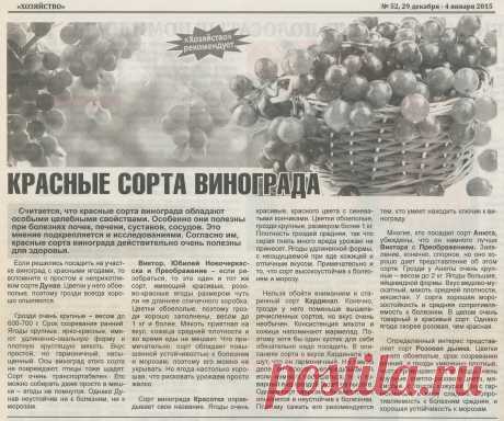 Красные сорта винограда
