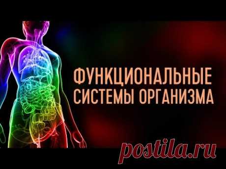 Функциональные системы организма. Лекция 1. Система артериального давления