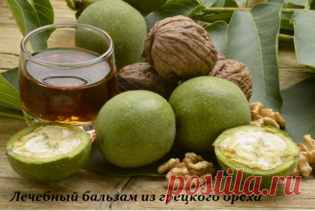 Лечебный бальзам из грецкого ореха