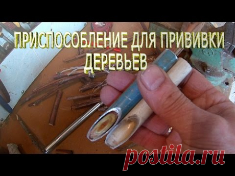 Приспособление для прививки деревьев делаем сами .Секреты садовода.Прививка улучшенная копулировка