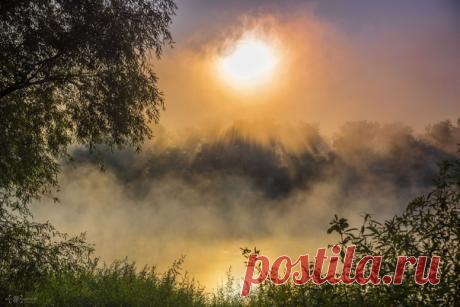 Рассвет на Десне. Фотограф — Максим Попельнюх: nat-geo.ru/community/user/122017/ Доброе утро!