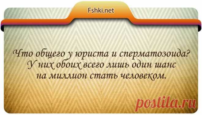 20 цитат в юморе про юристов и законы