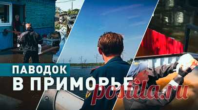 Откачали более 1 млн кубометров воды: МЧС России помогает пострадавшим от паводков жителям Приморья. Спасатели МЧС России оказывают адресную помощь населению Приморского края, пострадавшему от паводков. Специалисты работают на лодочных переправах. Они уже откачали более миллиона кубометров воды, доставили свыше 5 т продуктов и перевезли более 1700 человек. В ведомстве заявили, что в 18 населённых пунктах региона затоплено 188 частных домов и 913 приусадебных участков. С пятью населёнными…