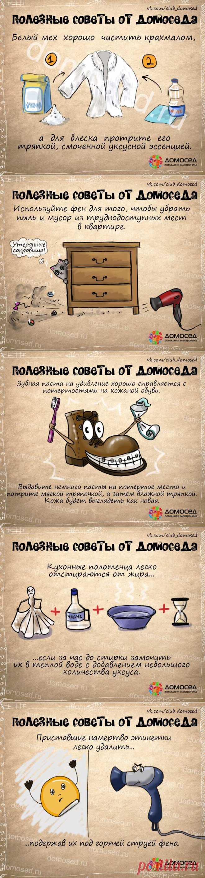 Полезные советы от Домоседа