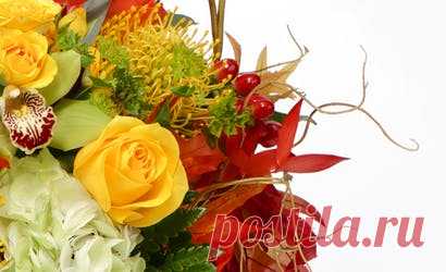 Kansas City Florist & Same-Day Flower Delivery | Toblers Flowers MO