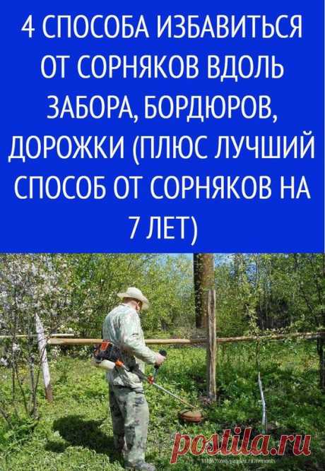 Как мы смогли избавиться от сорняков за 1 день!
Добрый день, дорогие читатели. Сегодняшним блогом я бы хотел поделиться с Вами своей тяжелой ситуацией, с которой сталкивался любой садовод и чем все закончилось.

Для начала расскажу с чего все началось. Несколько лет назад мы с женой купили небольшой загородный участок. причёски для полных