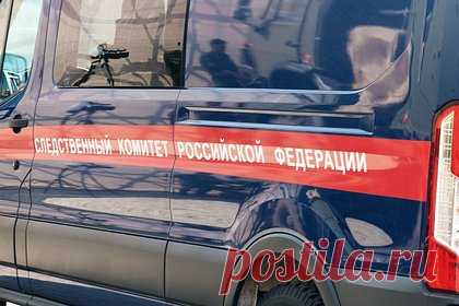Появились подробности о семье изрезавшей сверстницу ножом пятиклассницы из Химок. Отец пятиклассницы из Химок, напавшей на сверстницу с ножом в туалете лицея, родился в Казахстане и приехал в Подмосковье еще до рождения дочери. 48-летний мужчина работал энергетиком, а затем женился на матери школьницы, с которой они купили квартиру в Химках. Ранее в этой семье происшествий не было.