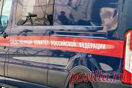 Появились подробности о семье изрезавшей сверстницу ножом пятиклассницы из Химок. Отец пятиклассницы из Химок, напавшей на сверстницу с ножом в туалете лицея, родился в Казахстане и приехал в Подмосковье еще до рождения дочери. 48-летний мужчина работал энергетиком, а затем женился на матери школьницы, с которой они купили квартиру в Химках. Ранее в этой семье происшествий не было.